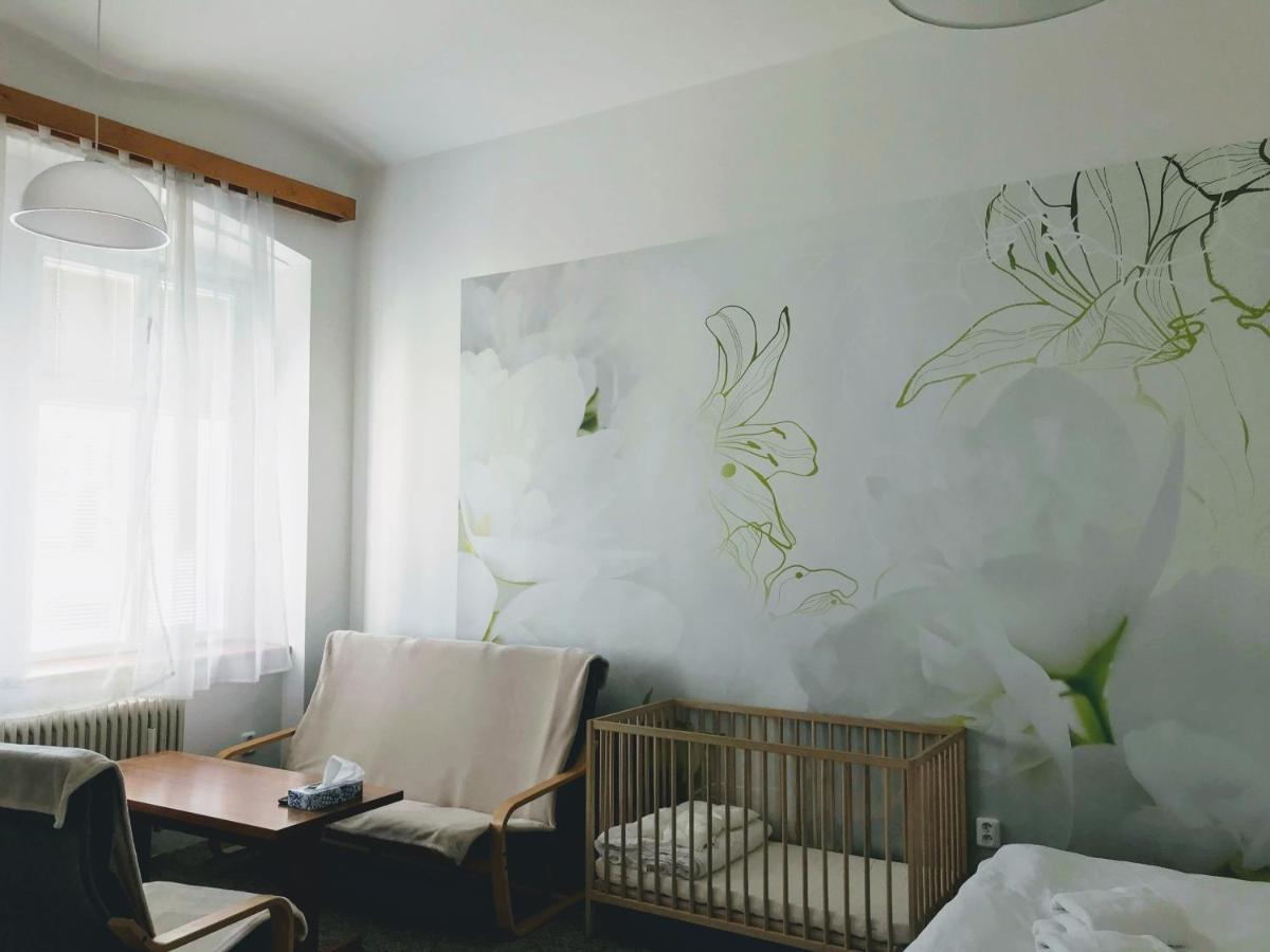 Apartman Na Namesti Apartment Opočno Екстериор снимка